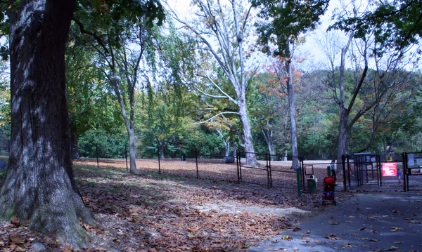 Paw Point Dog Park